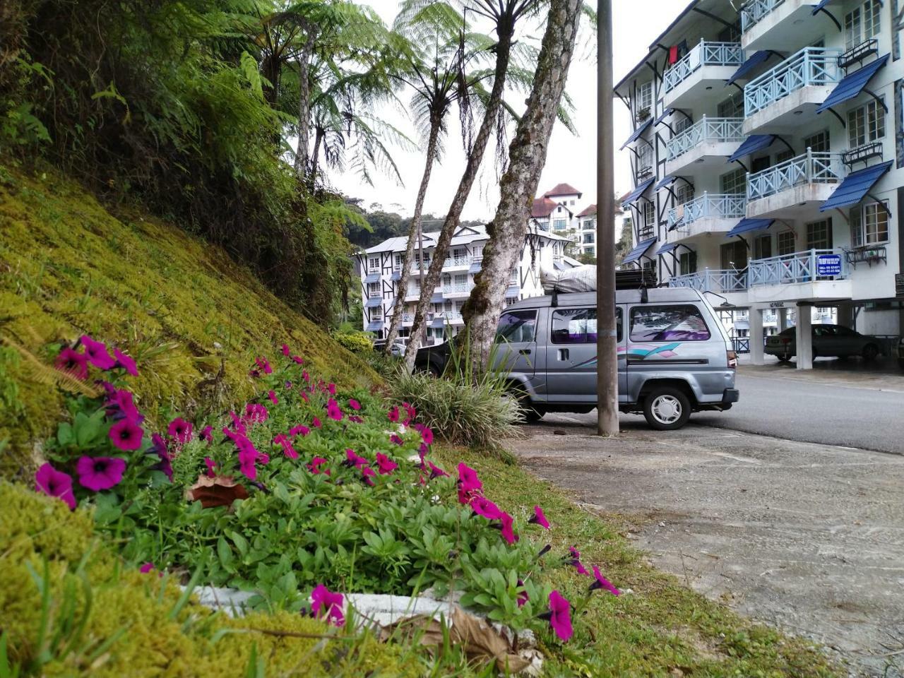 Appartamento Desa Anthurium Cameron Highlands Esterno foto