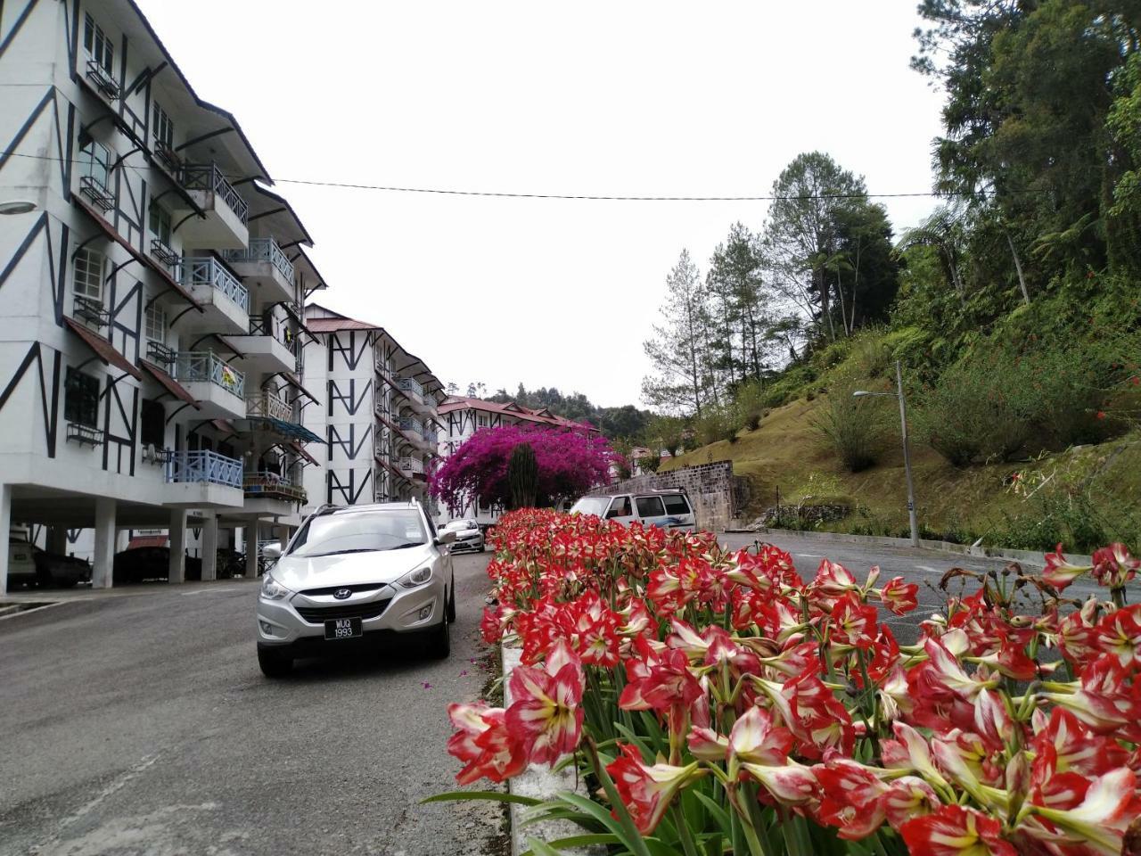 Appartamento Desa Anthurium Cameron Highlands Esterno foto