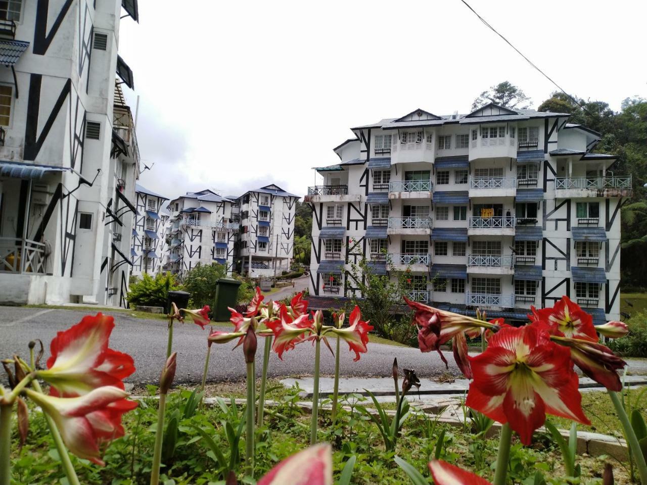 Appartamento Desa Anthurium Cameron Highlands Esterno foto