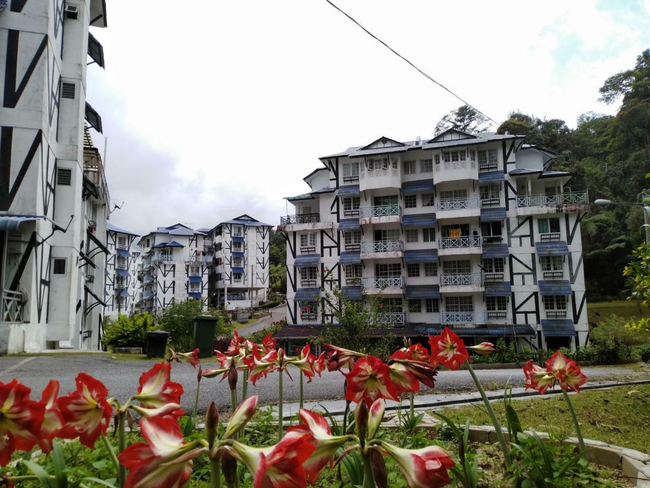 Appartamento Desa Anthurium Cameron Highlands Esterno foto