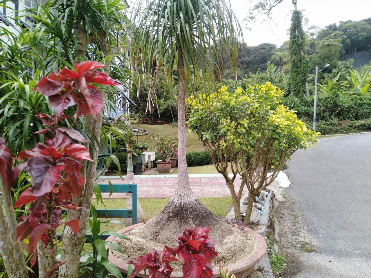 Appartamento Desa Anthurium Cameron Highlands Esterno foto