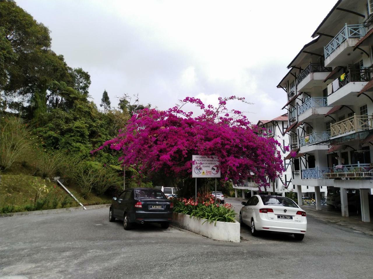 Appartamento Desa Anthurium Cameron Highlands Esterno foto